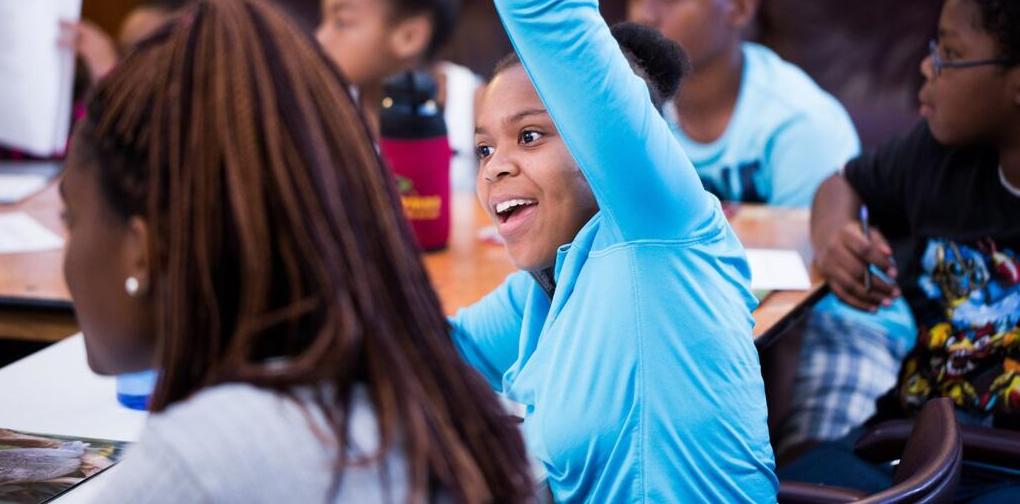 Student raised hand - teaching fellow initiative