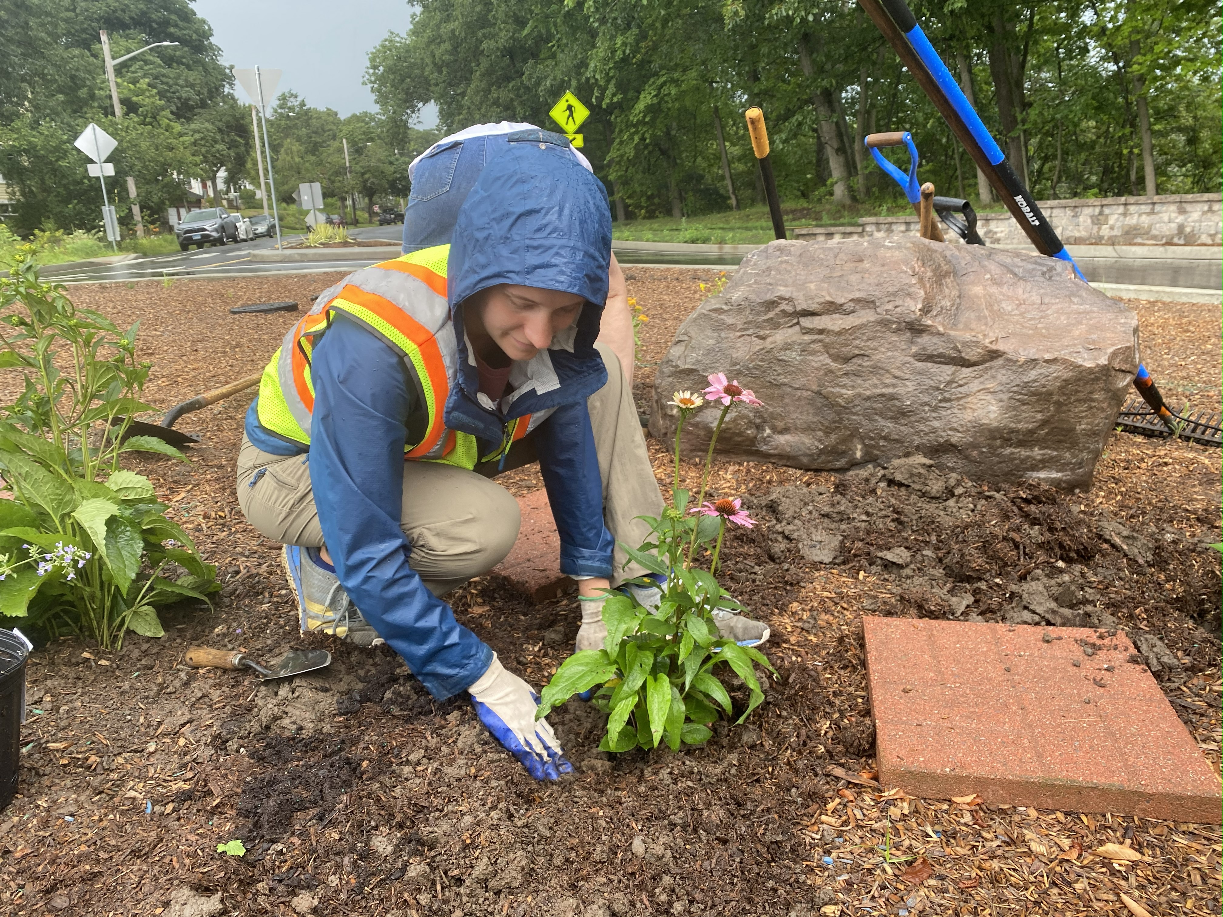 PPSF Fellow planting
